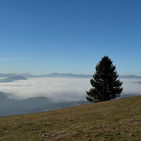 Montini - Wybrane Domki Z Jacuzzi Koniaków Exteriör bild