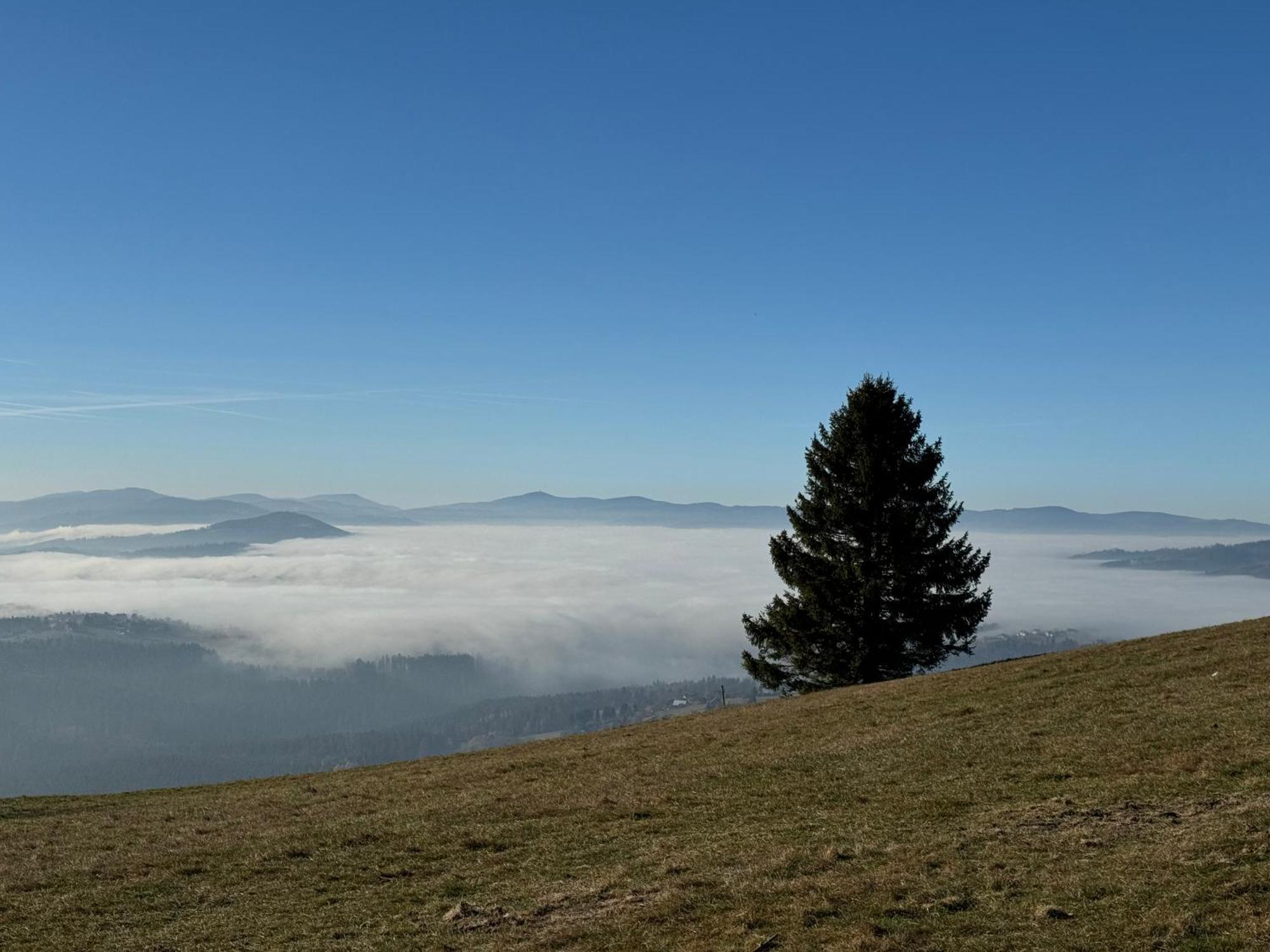 Montini - Wybrane Domki Z Jacuzzi Koniaków Exteriör bild